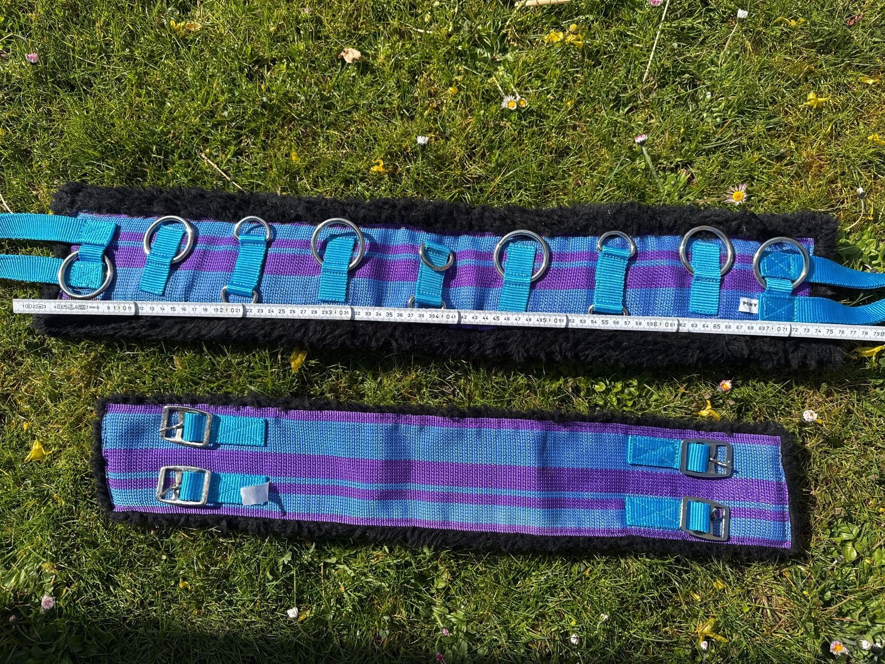 Gürtel: Longiergurt Pony, violet/blau – Gebraucht aus Elsau von CTN20 1