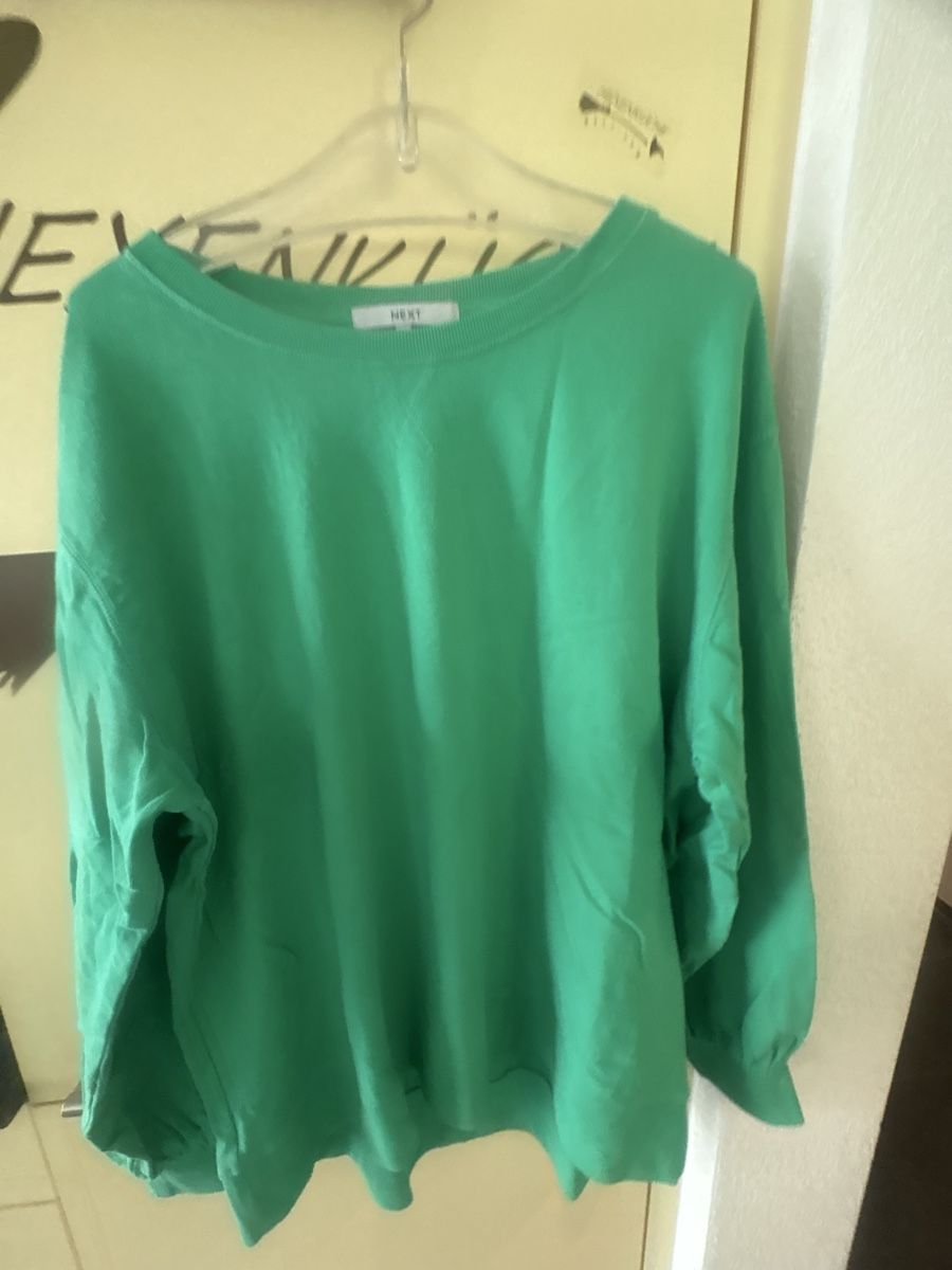 Next Maglioni & Felpe: Next Pullover 💫grün – Nuovo (secondo la descrizione) da Obbürgen venduto da bugi6868 6