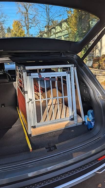 Gabbie, trasporto & Sicurezza: Robuste Hunde Transportbox aus Alu – Usato da Bern venduto da baze