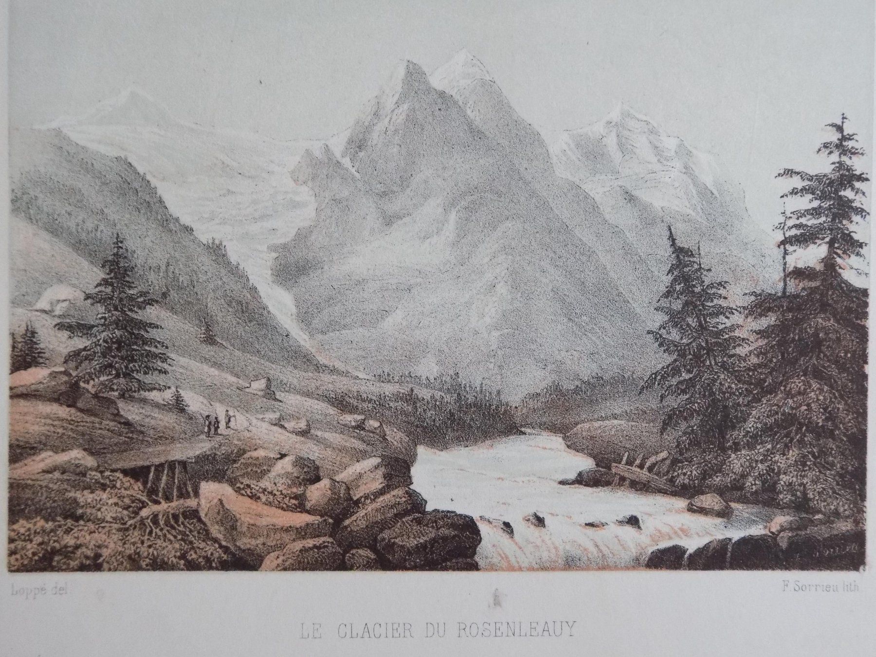 Incisioni: Rosenlaui-Gletscher Loppé – Usato da Risch venduto da Antikfee 4