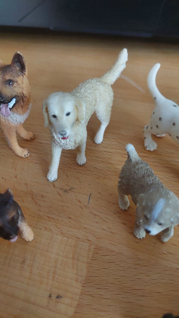Schleich Statuette: Schleich Hundefiguren  – Usato da Basel venduto da Jonny.44 4