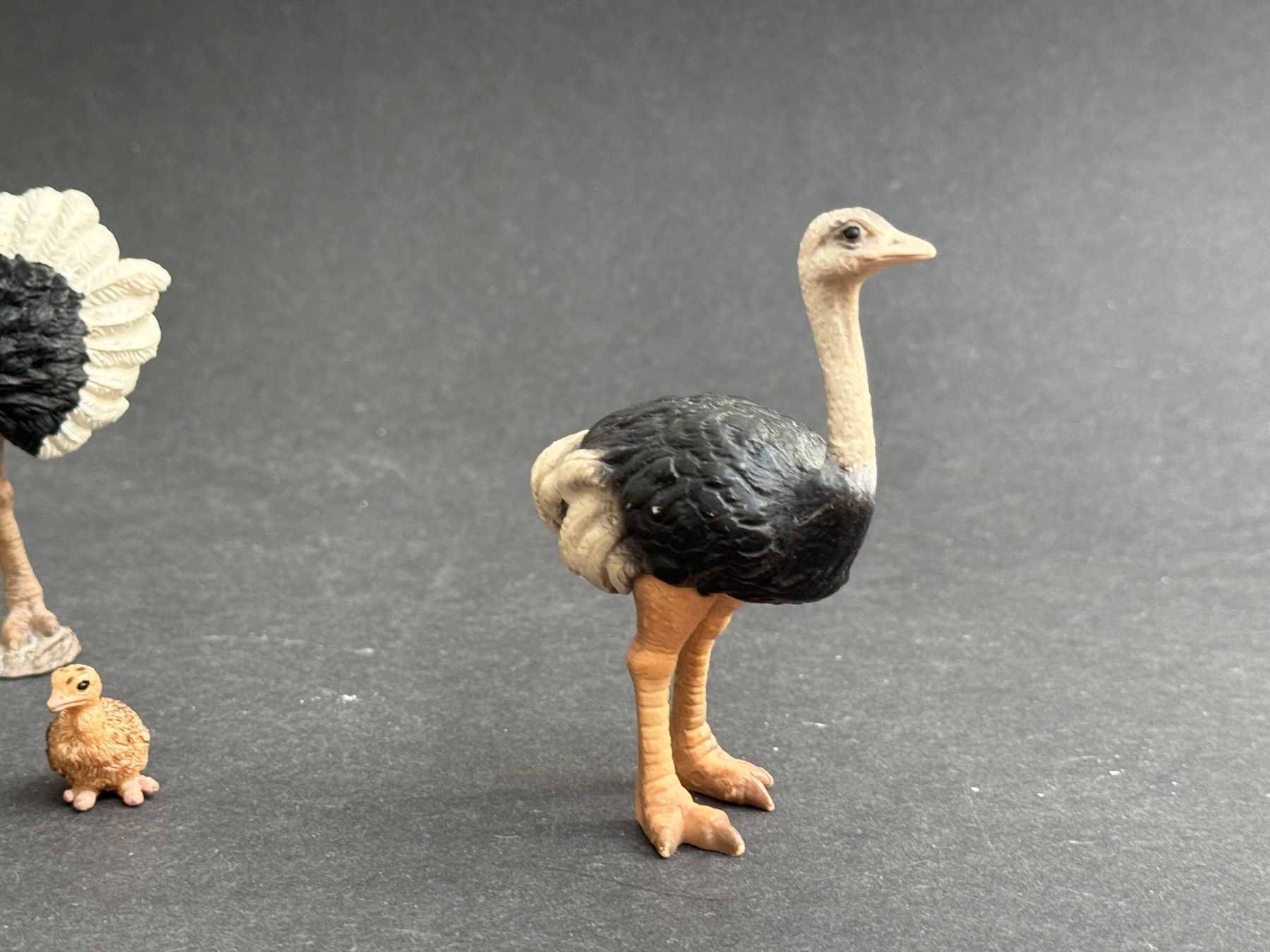 Schleich Statuette: Schleich Strauss Familie – Usato da Ennetbaden venduto da mapa05 3