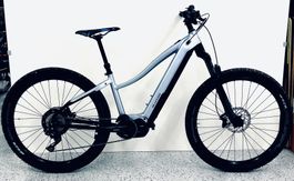 E-MTB Allegro, neuwertig, wenig gefahren, Top Zustand! 189KM