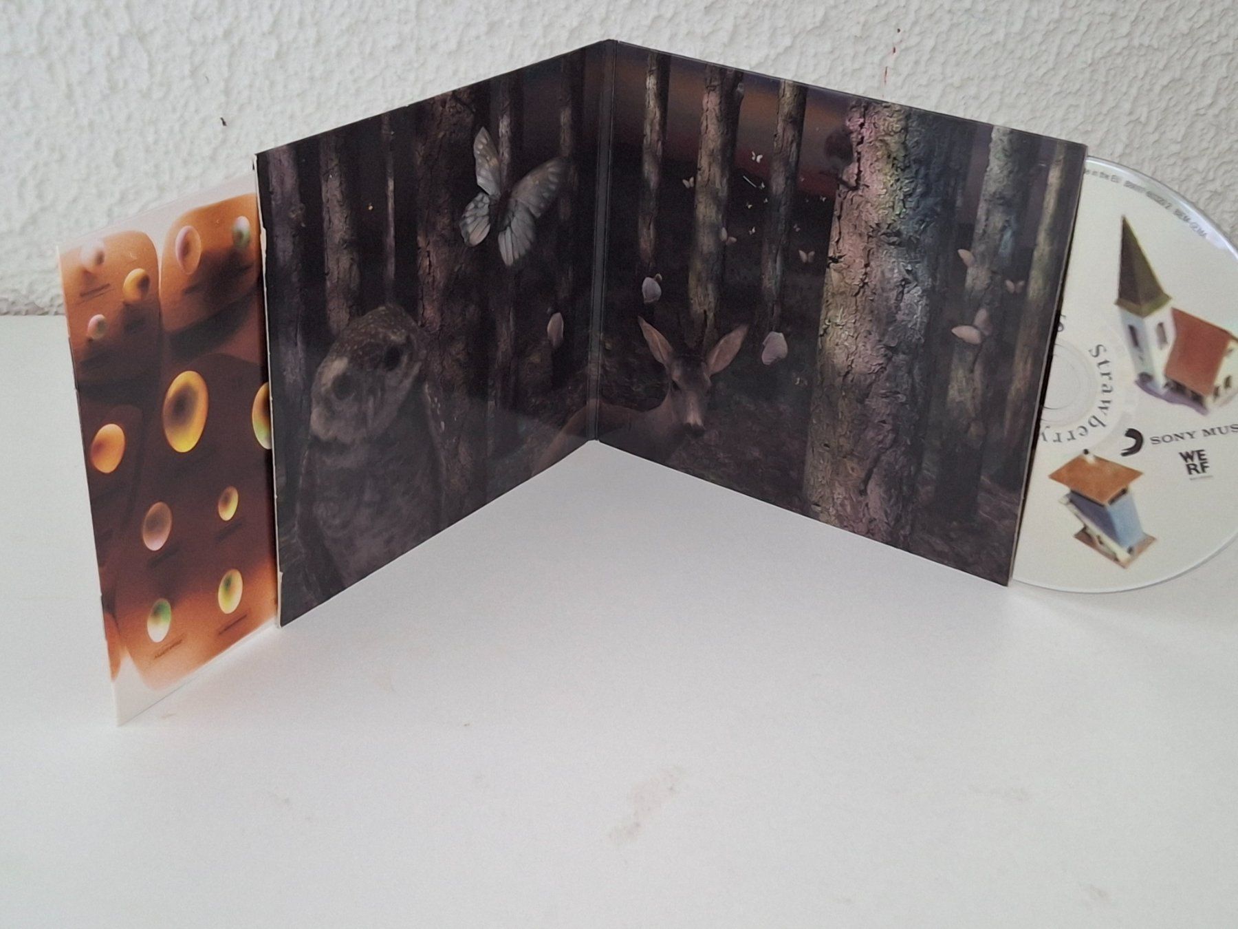 CD: CD NITS  - Strawberry Wood – Usato da Aarberg venduto da Jackup1 2