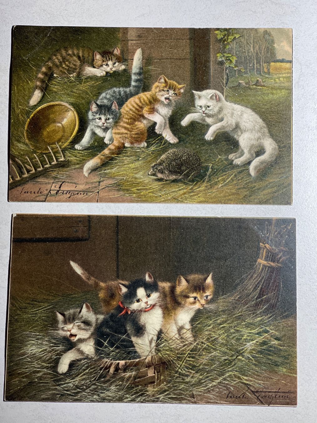 Cartoline postali: 2 Antike Postkarte: Verspielte Kätzchen mit Igel, – Usato da Strengelbach venduto da Aschatan5