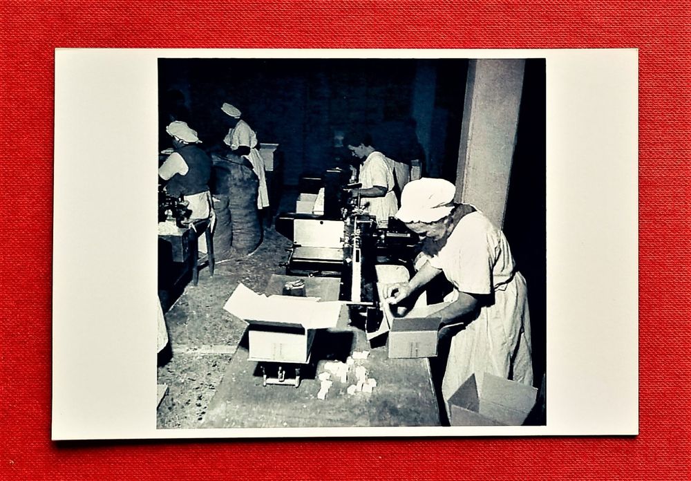 Vepoty Holz Cocktail Stößel - 25cm Buchenholz, Für Mojito & Frucht-Cocktails