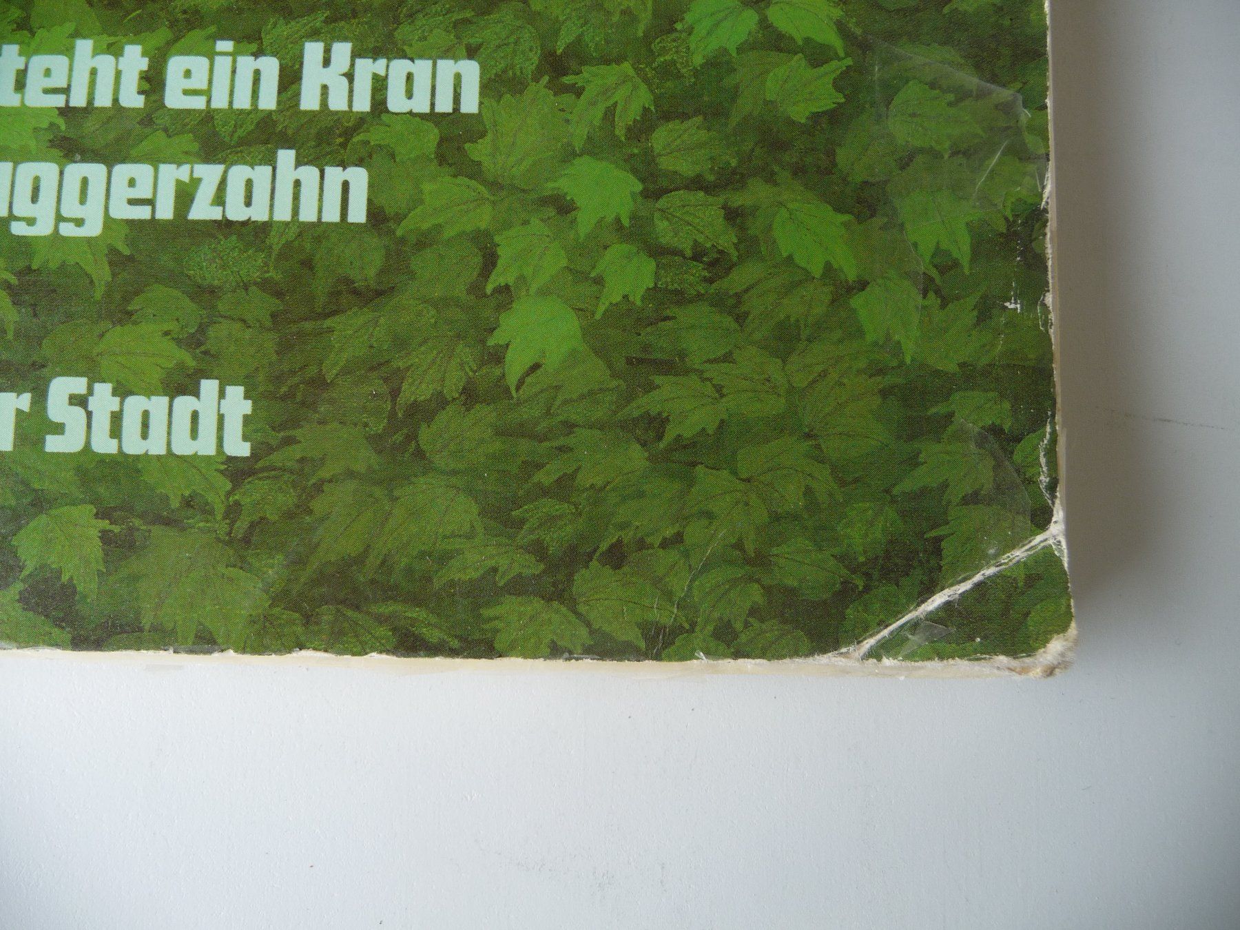 Libri: JÖRG MÜLLER - HIER FÄLLT EIN HAUS, DORT STEHT EIN KRAN .... – Usato da Aesch BL venduto da Imoonlight 1