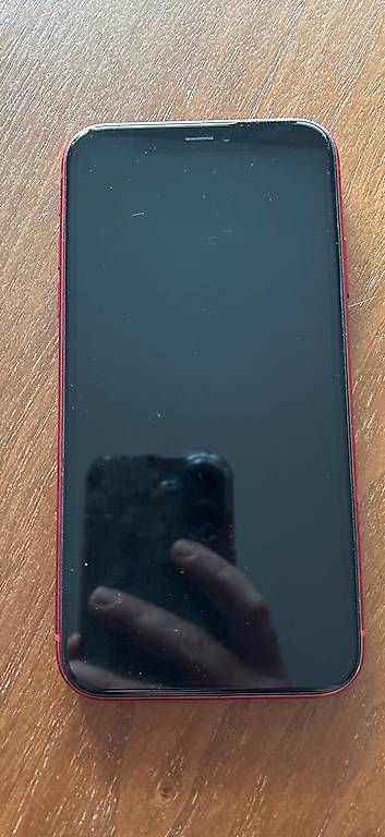 Handys / Smartphones: Iphone 11 – Gebraucht aus Liebefeld von RuchtiD