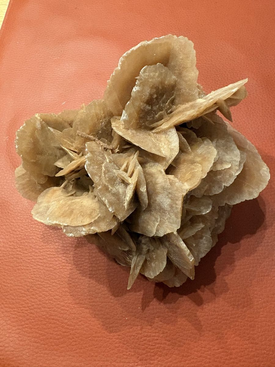 Minerali & Pietre curative: Sandrose aus der Sahara – Usato da Oberwil BL venduto da elk_wf5x 1