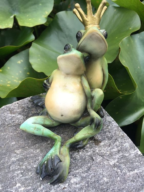 Froschkönig im Gartenteich Kaufen auf Ricardo