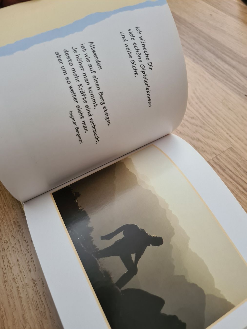 Libri: Buch was ich Dir Wünsche – Usato da Langenthal venduto da Polarisstern 3