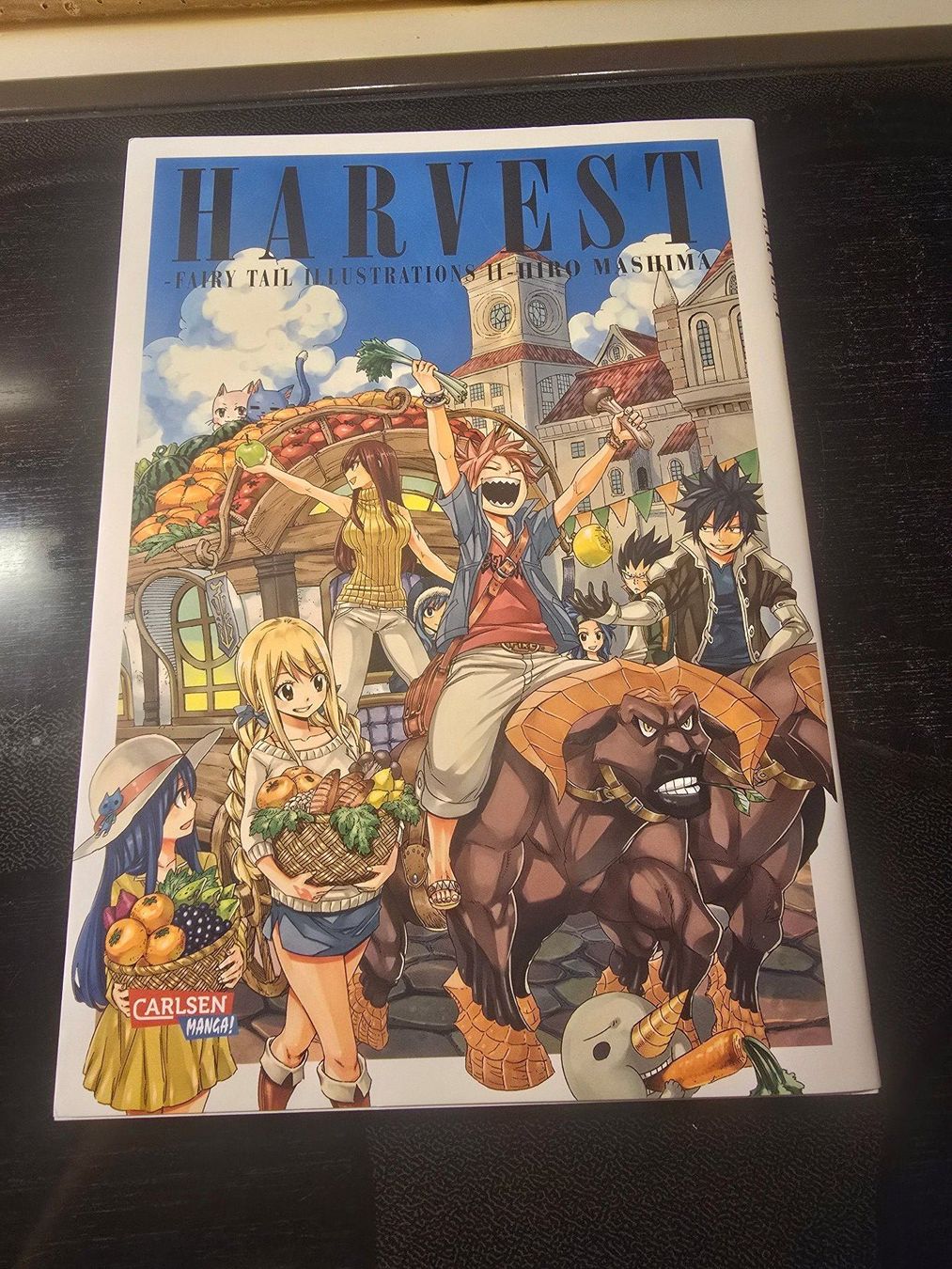 Comics: Fairy Tail Artbook – Gebraucht aus Schaffhausen von K.Ichimaru