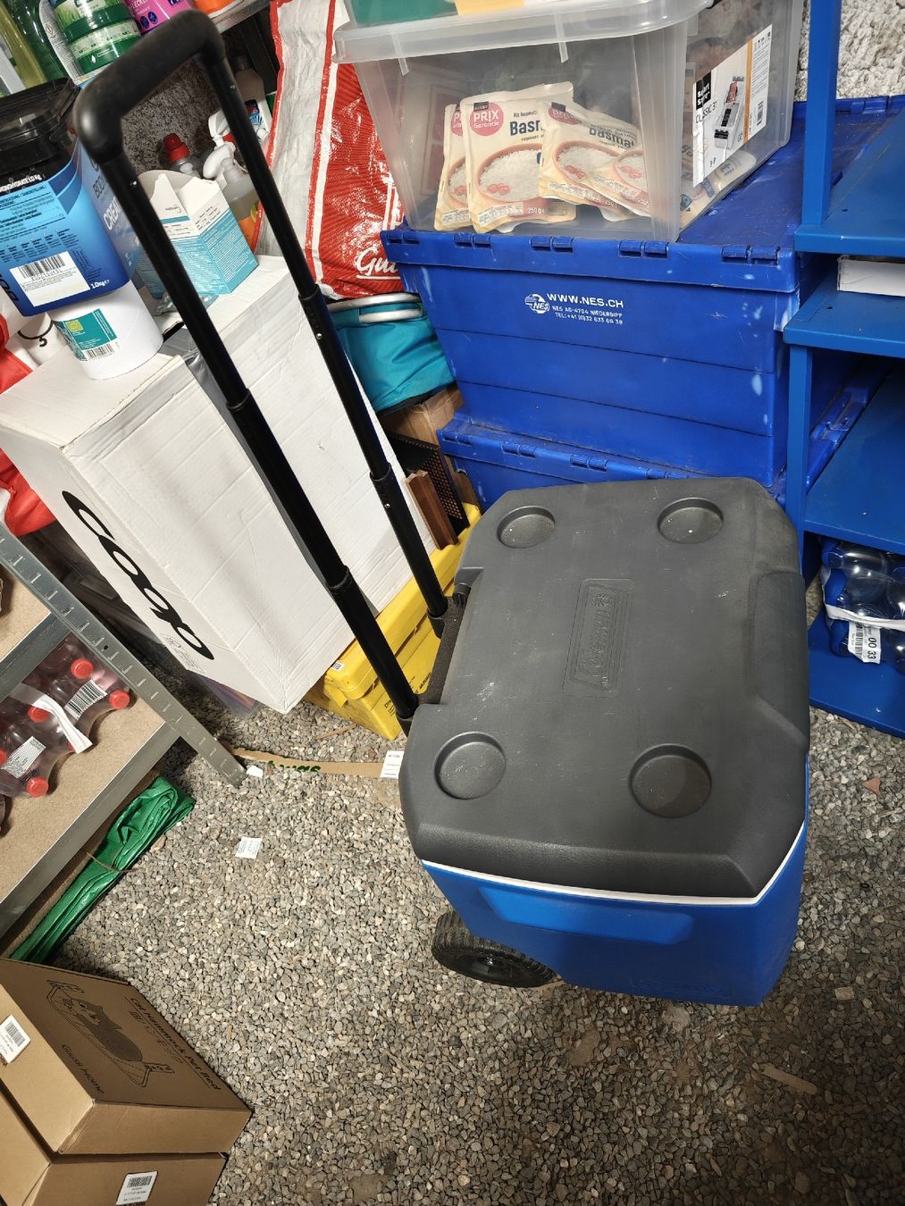 Coleman Frigoriferi & Refrigeratori: Coleman Kühlbox auf Rädern – Usato da zürich venduto da saramarina 3