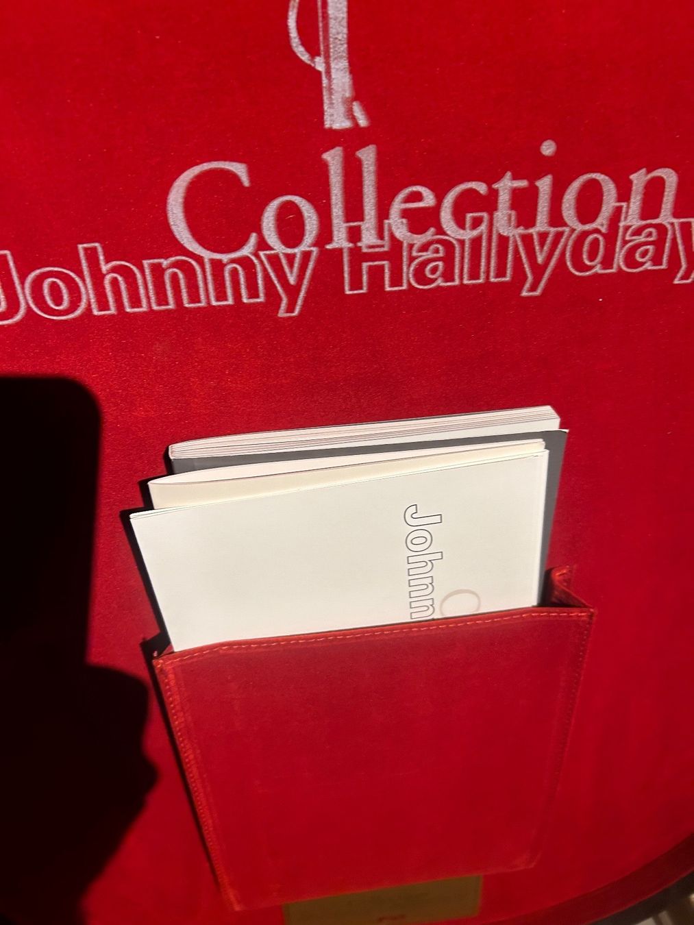 Dischi in vinile: Coffret guitare Johnny Hallyday – Usato da Ravoire venduto da martigny1921 3