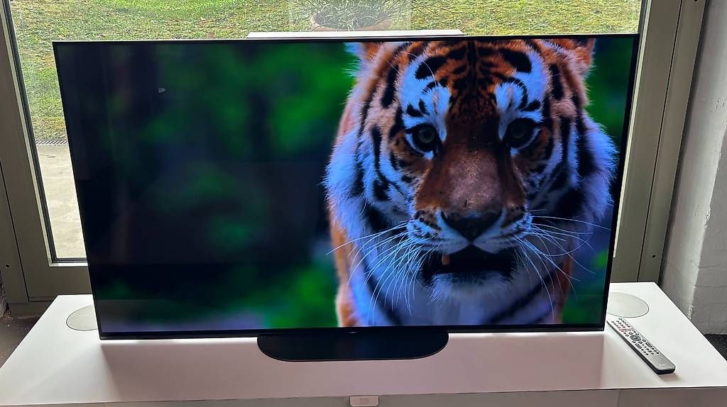 Televisori: Sony Bravia KD-55AG9 – Usato da St. Gallen venduto da ScheiblingAG