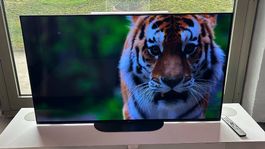 Sony Bravia KD-55AG9