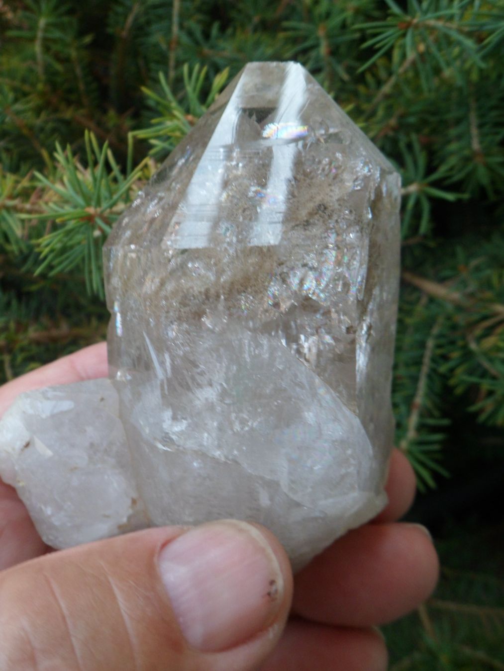 Minerali & Pietre curative: Bergkristall Schweiz 9 cm – Nuovo e nell'imballaggio originale da Affoltern am Albis venduto da Fossil60 2