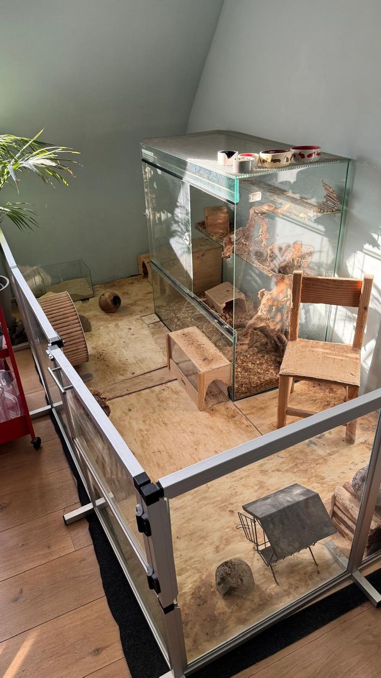 Terrarium: Nager-Terrarium mit Aussengehege – Gebraucht aus Zürich von charismatic74
