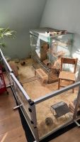 Nager-Terrarium mit Aussengehege