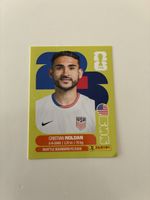 Panini Sticker Cristian Roldan USA WM 2026 Edition