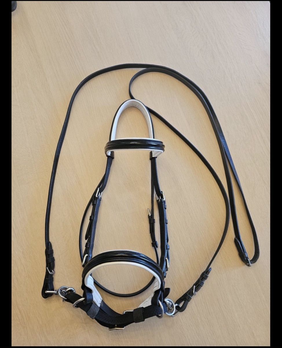 Briglie & Cavezze: Bride bitless taille Full  – Usato da Plan-les-Ouates venduto da aur_z5pj 4