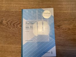 Buch Fallbearbeitung im Strafrecht