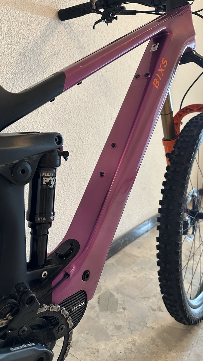 Bixs Biciclette: E-Bike Bixs Sign-E23 Carbon 2024 – Usato da Muri b. Bern venduto da Panorama36 5