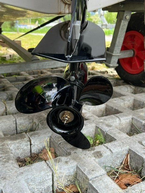 Mercury Motori: Mercury Motor 20 PS mit Boot – Usato da Wangen ZH venduto da Aisha69 5
