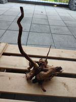 Markantes Aquariumholz/Wurzel mit langem Ausläufer 28x15x12