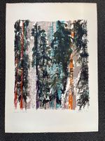 Lithografie / Waldszene von HUGO WETLI 1967    (ID B5744)