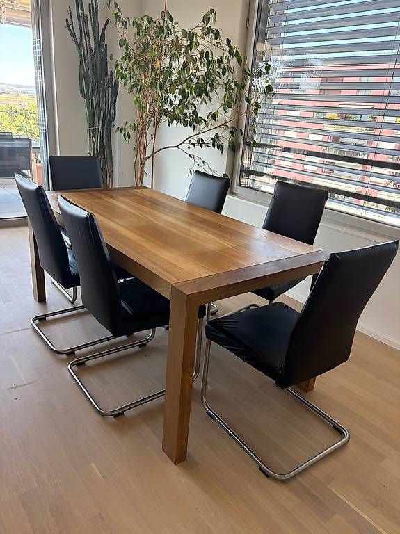 Chaises: KFF Aura Designer Stühle, 6er - Leder – D'occasion à Cham par Mintfox 1