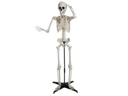 EUROPALMS Halloween Skelett, stehend, 150 cm