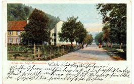 Gruss aus Asyl- REMISMÜHLE Der Weg nach Hause