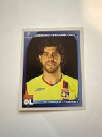 Panini UEFA Champions League 2008-2009 - Nr. 359