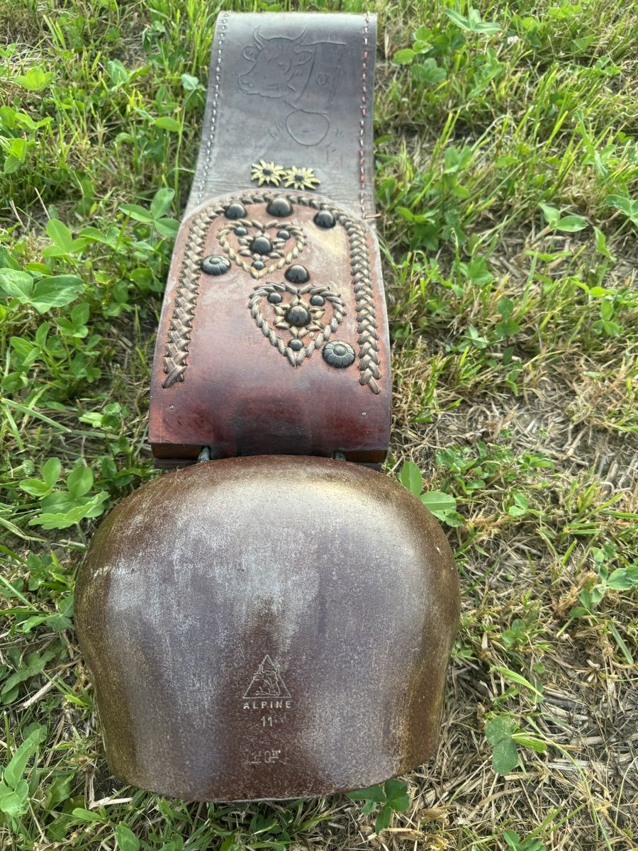 Campanacci mucche: Sonnette  Alpine 11 avec belle courroie  – Usato da Penthalaz venduto da Antique93 2
