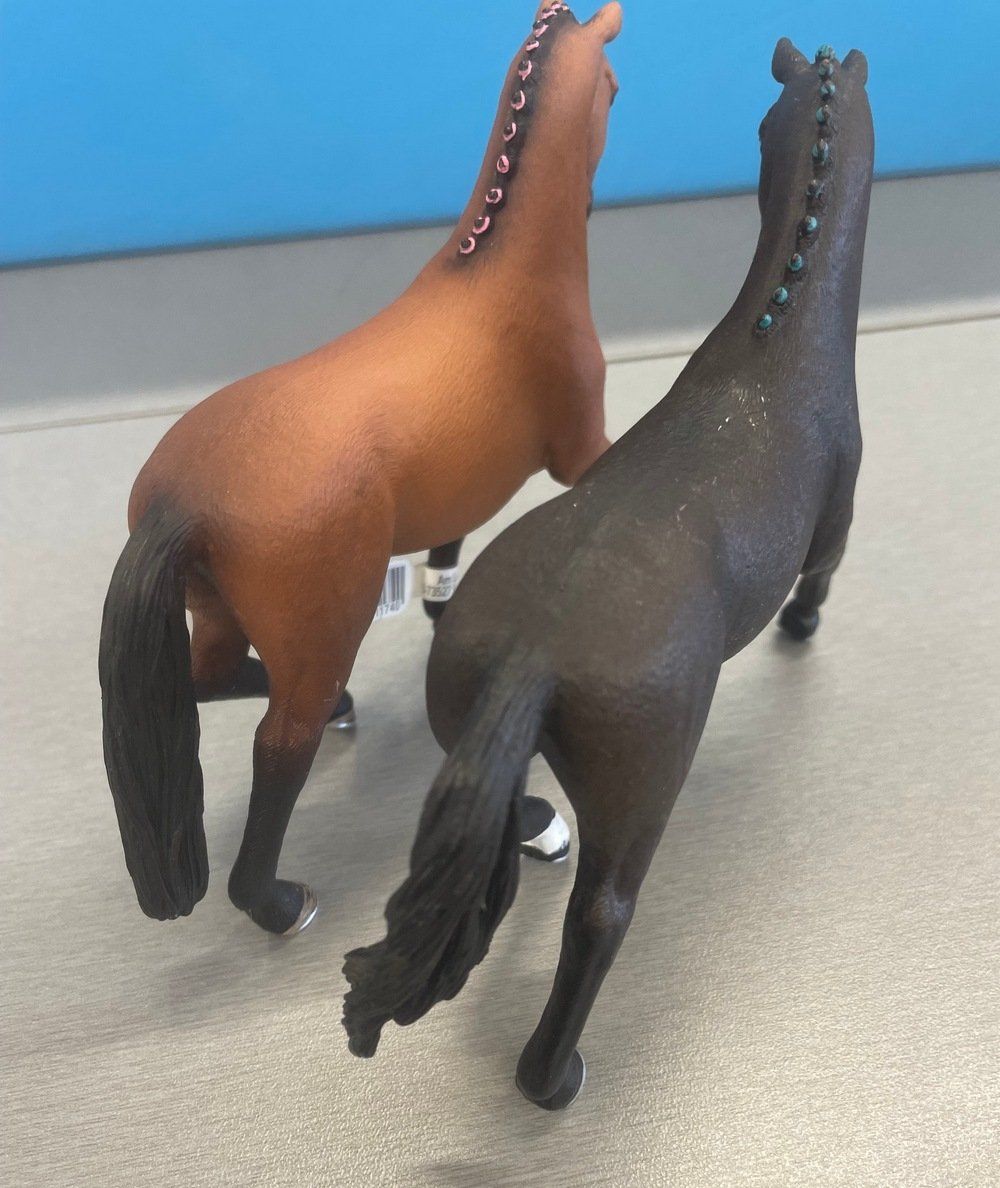 Schleich Spielzeuge: Schleich 2 Turnierpferde und 2 andere Pferde – Gebraucht aus Sirnach von sagrotin 4