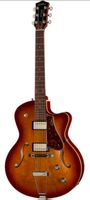 Godin 5th Avenue – état quasi neuf + housse + garantie