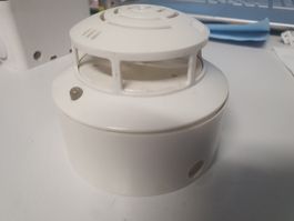 Brandmelder TDS 247 Hekatron mit Montagesockel