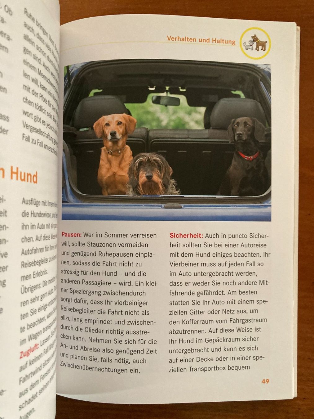 Libri: HUNDE   Sachbuch  von  Jennifer Willms – Usato da Subingen venduto da Etageren 4