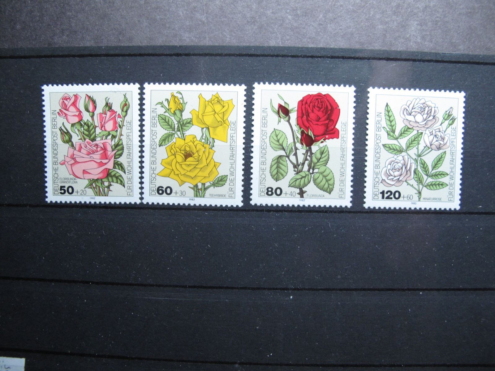 Tutti i francobolli: Berlin 1982 Gartenrosen ** – Usato da Wil SG venduto da fva01