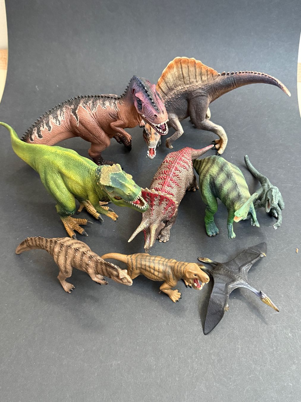 Schleich Statuette: 9 original Schleich Dinosaurier Dinos – Usato da Ennetbaden venduto da mapa05