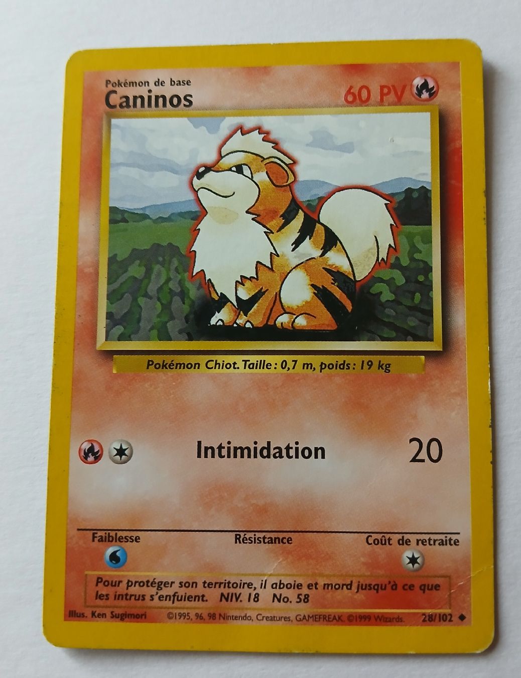 Pokémon Carte collezionabili: Carte Pokémon Caninos FR 1999 – Usato da Sciernes-d'Albeuve venduto da Dojo004