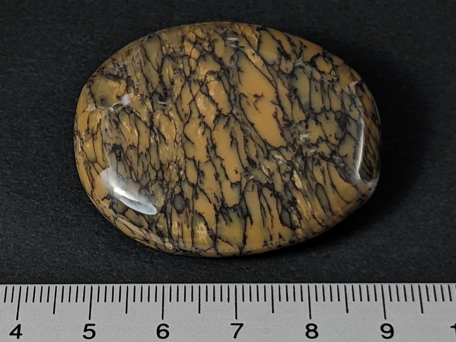 Minerali & Pietre curative: Moosopal/Dendritopal 44mm – Nuovo e nell'imballaggio originale da Meilen venduto da StoneGarden