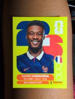 Eduardo Camavinga FRA 10