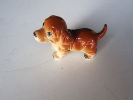 Hund