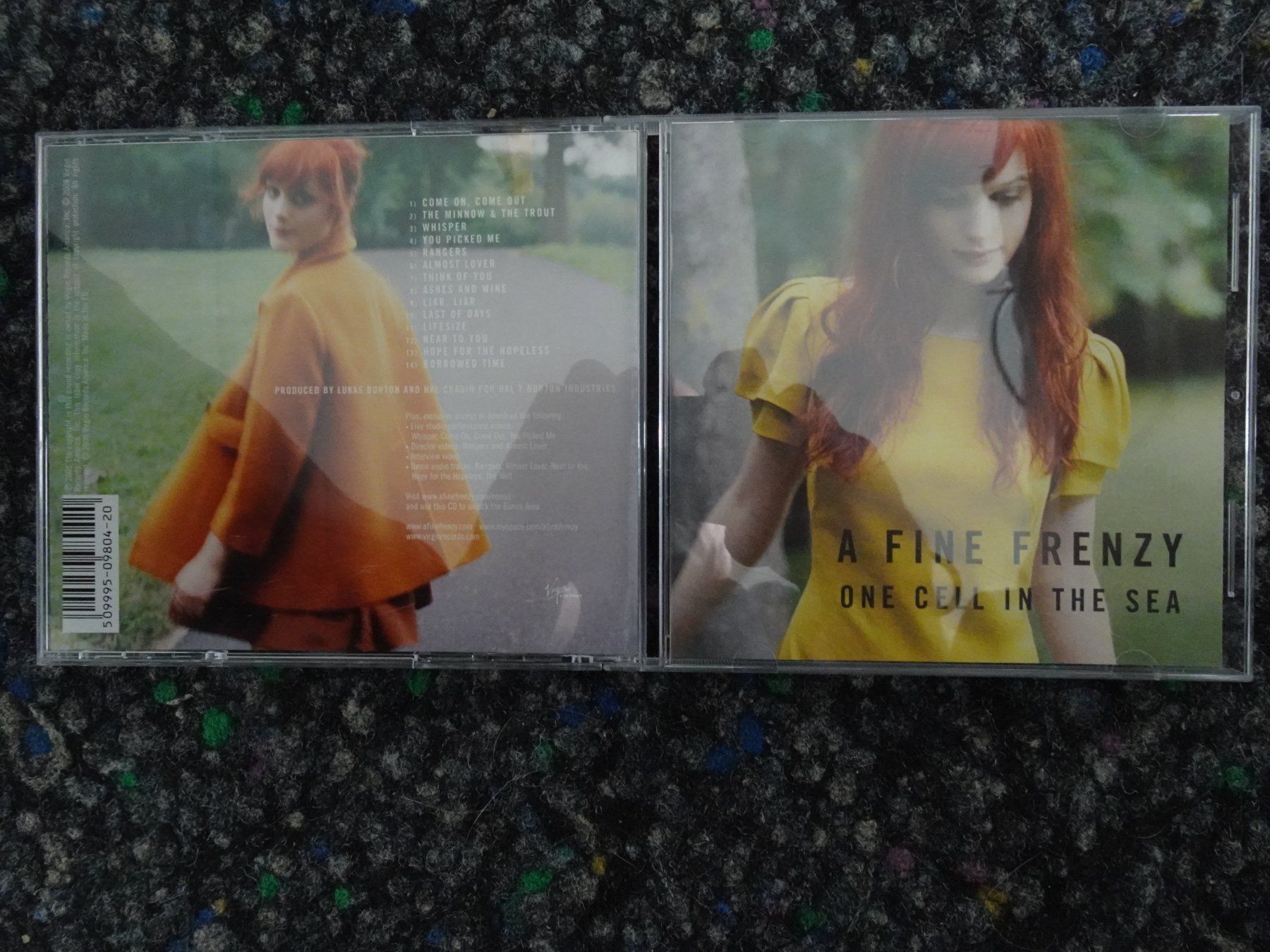 CD: CD : A fine frenzy – Usato da Lotzwil venduto da Kiddis