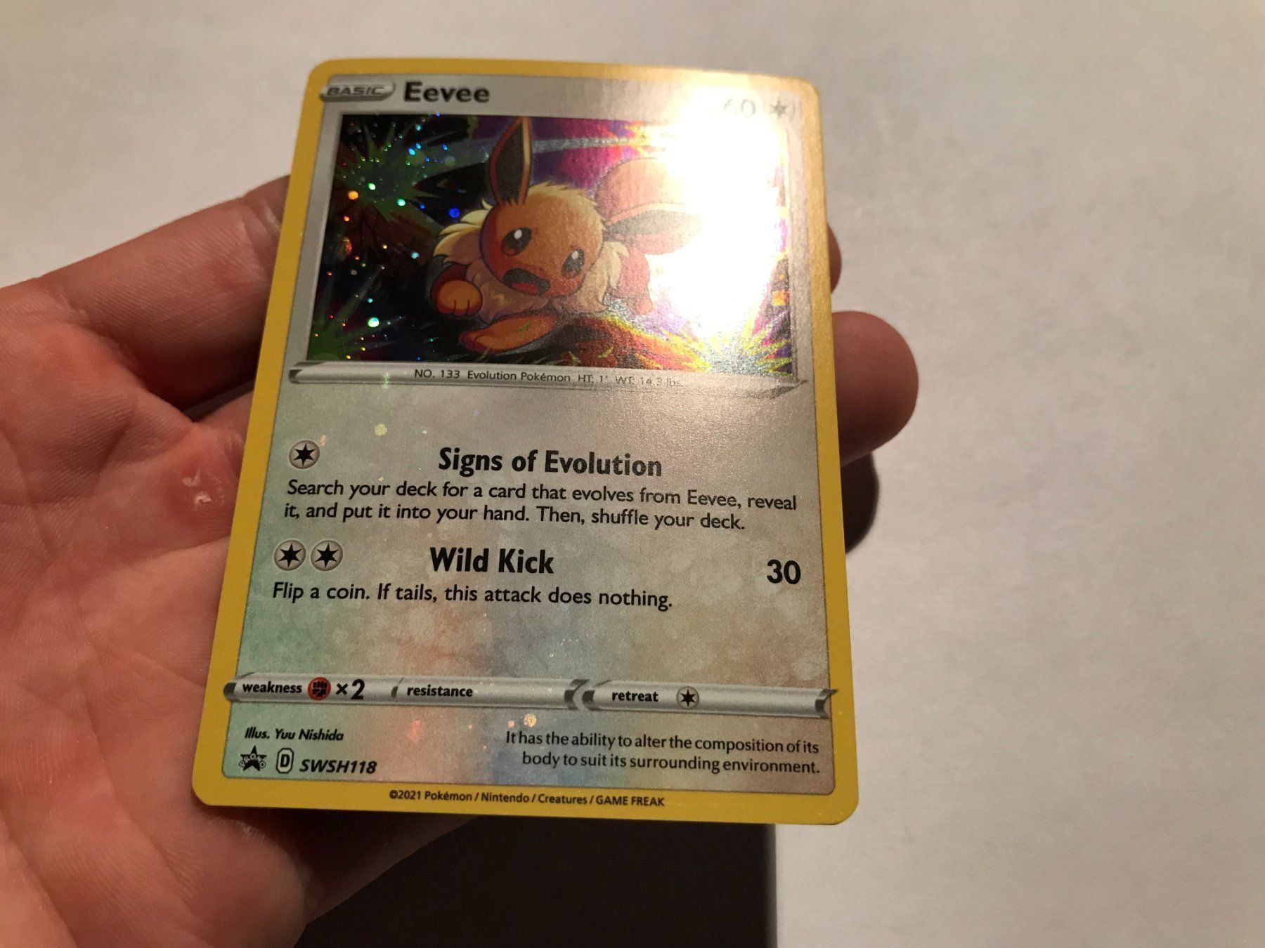 Pokémon Carte collezionabili: Eevee holo Promo holo bleed – Nuovo (secondo la descrizione) da Hagendorn venduto da Pokecollectorch 2