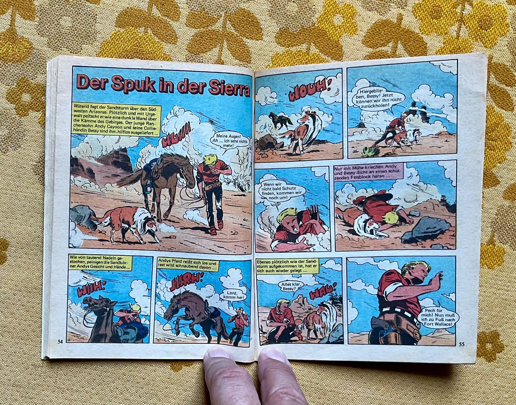 Fumetti: Bessy Taschenbuch Nr 16 – Usato da Endingen venduto da nathan05 5