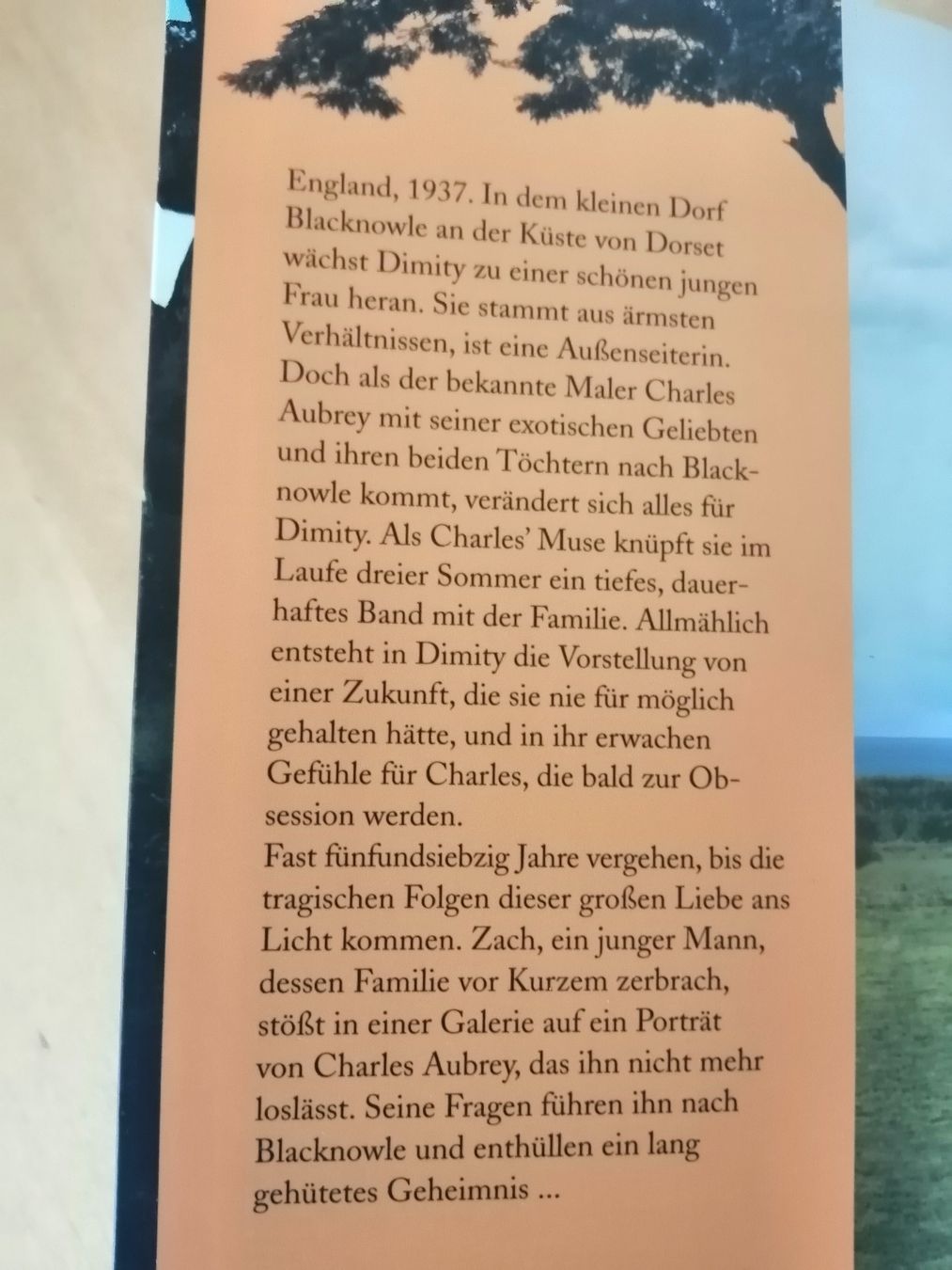 Libri: Katherine Webb: Das verborgene Lied, Roman – Usato da Honau venduto da holunder3 2