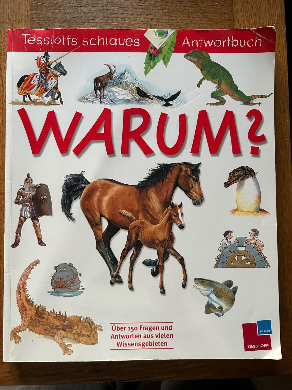 Libri: Warum  Antwortbuch – Usato da Arth venduto da Vrecam51